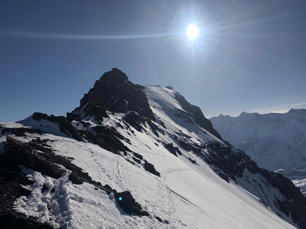 Chalet Caramelle グリンデルヴァルト エクステリア 写真